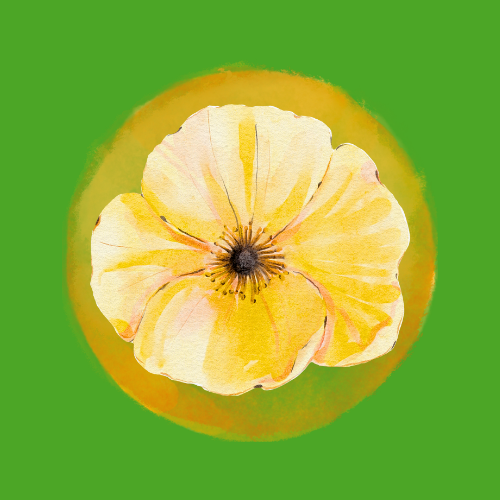 File:Gronne Thorildhoej cover.png
